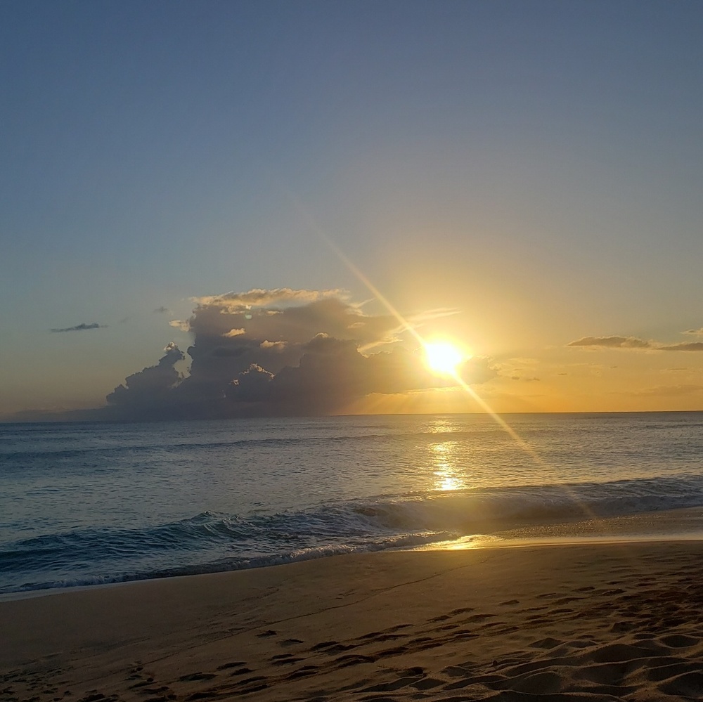 Meet your Posher, Ali